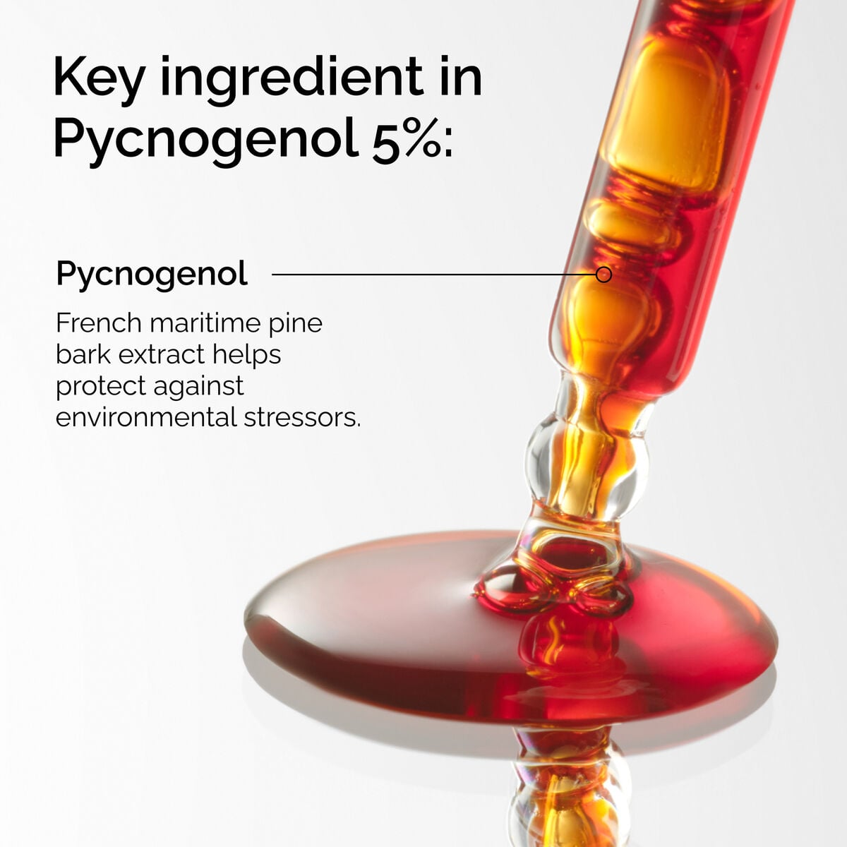 pycnogenol-5-l9 FY25-D41247-ORD-Web-PDP-Pyc-5pct-1x1-EN-2a.jpg
